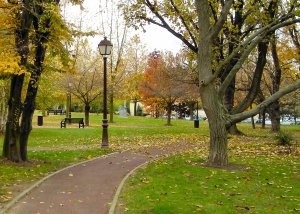 Picture found at BlogDownTown.com